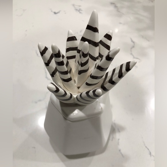 Succulent Ceramic Jar Nate Berkus - Picture 6 of 12